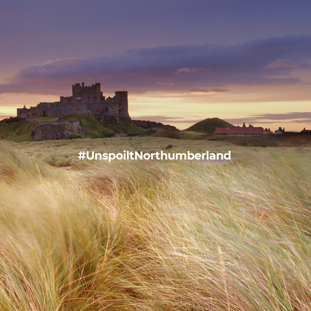 Like clockwork, our tides continue to wash over our picture-perfect beaches twice a day, keeping them pristine and ready for when you can enjoy
them again. If you’ve never experienced the wonders of the Northumbrian coastline, you’re in for a treat. 

#UnspoiltNorthumberland
