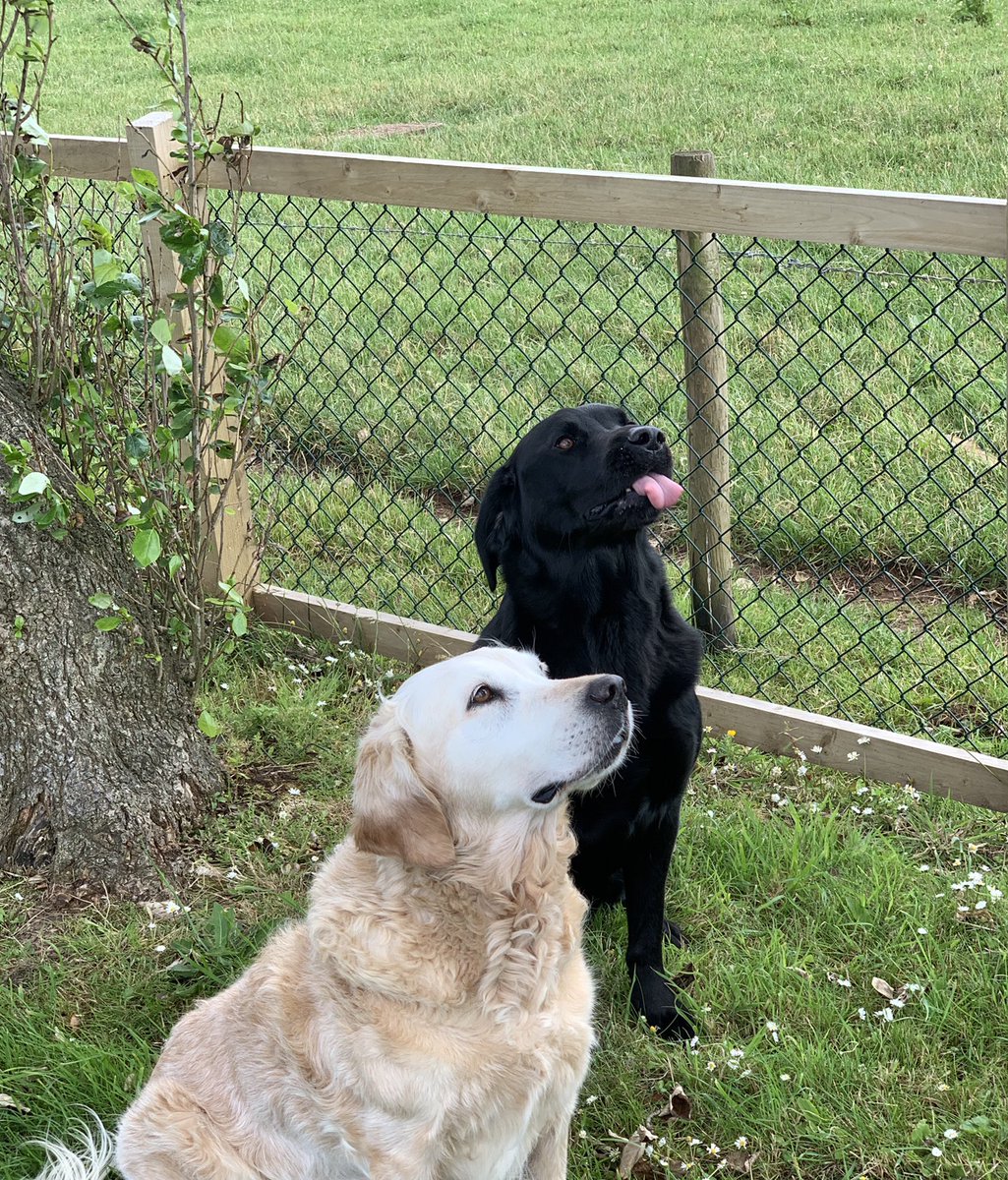 Happy Father's Day to <a href="/TheBlind_Knight/">BlindKnight</a> we love you so so so much your the best daddy ever!