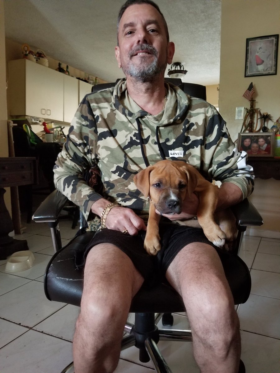 johntheroseguy's tweet photo. Join me in welcoming a new edition to the family meet Shera #StandardBully https://t.co/faqBEK8sEA