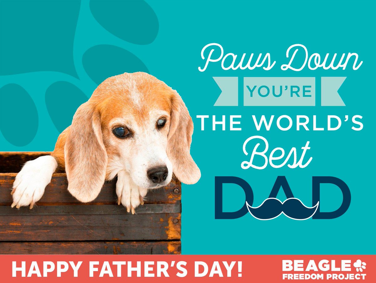 beaglefreedom's tweet photo. Happy Father's Day!

Give dads the greatest gift of all, the gift that shows your love and that he is being honored by saving lives! Choose one of four adorable Father’s Day cards to send now via email. Your donation goes directly to help animals: https://t.co/4mvpG33SkC. ❤️ ❤️ https://t.co/SJ3dn0WPbi