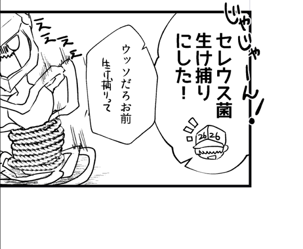 縄ブラシとても便利 