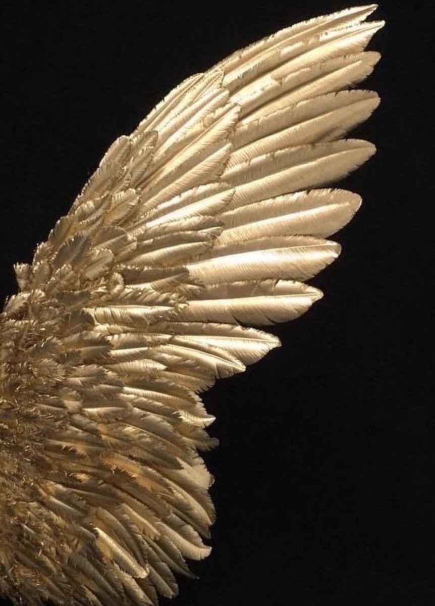 Tori Kelly as fairies thread ˚✧⁎