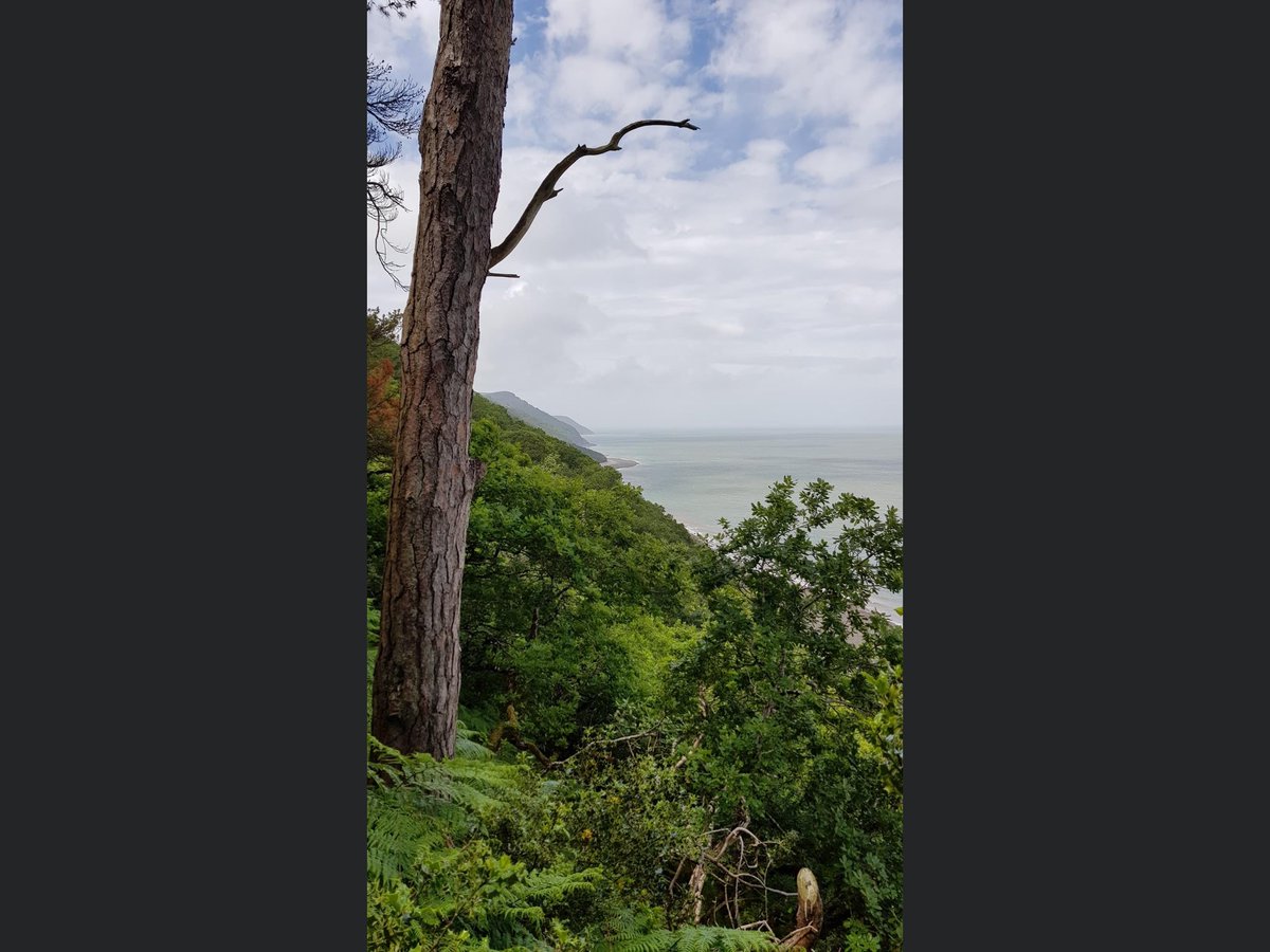 pgbakes's tweet photo. Had a bit of an anxiety / panic attack today. βΉοΈ
Nothing better than walking it out. π
#destress #swcp #ldwa #lynmouth #culbone #porlockweir https://t.co/3sSahi9E6K