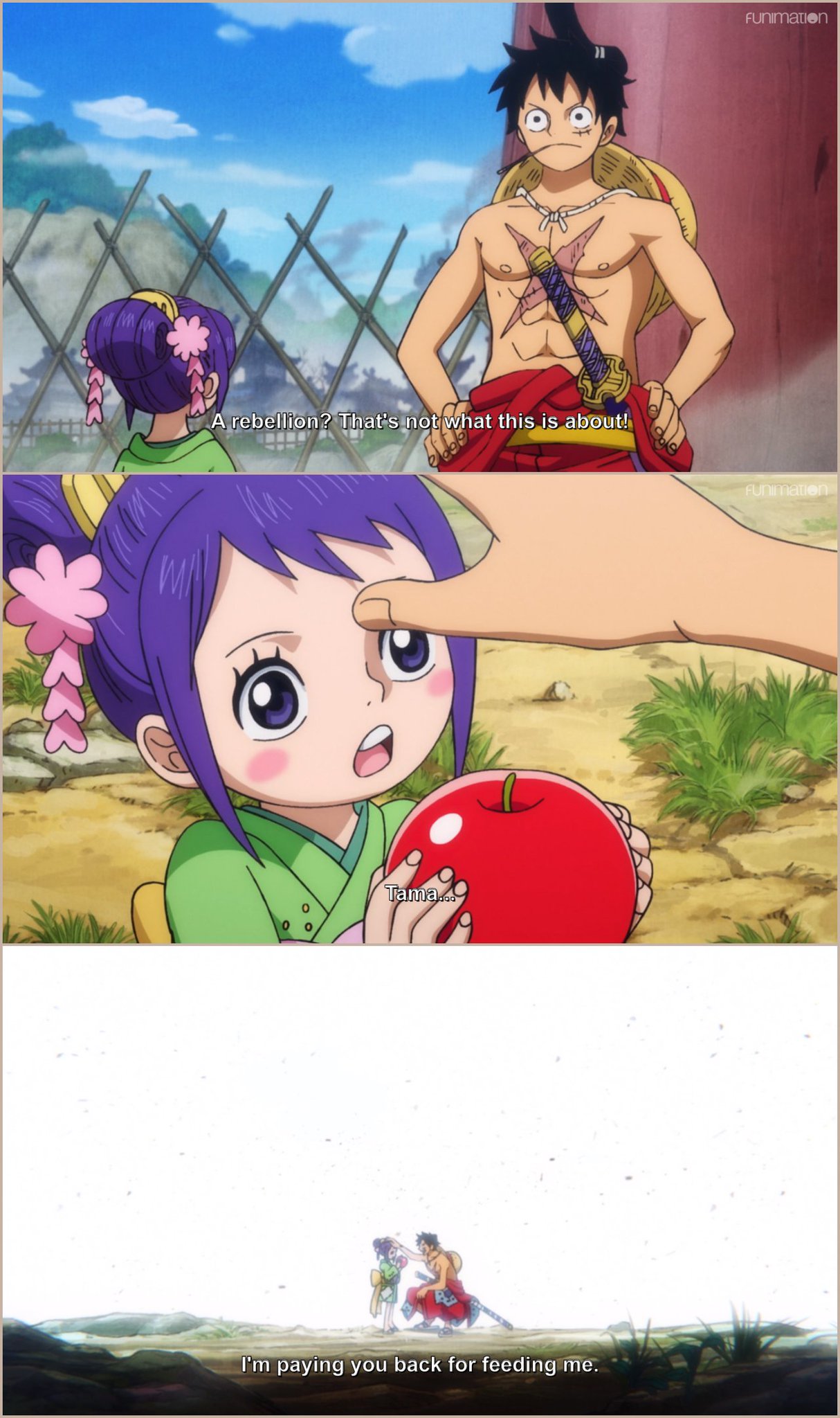 One Piece Luffy Always Returns The Favor Via Episode 908