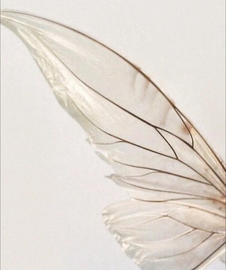 Tori Kelly as fairies thread ˚✧⁎