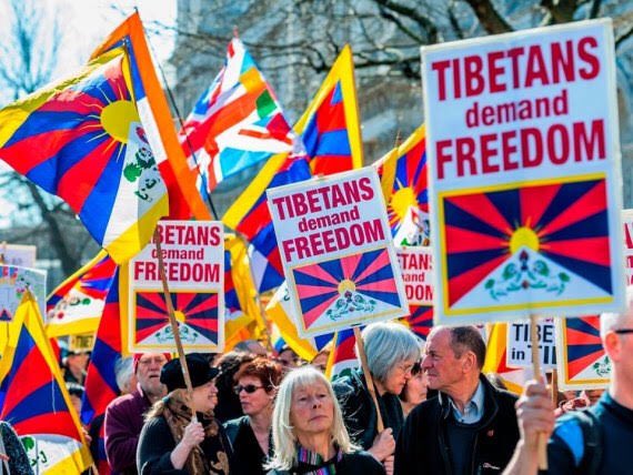 We share border with Tibet and we all know that govt of tibet is living in exile in India. Every year a lot of tibetians become the victims of human right violation. India never raised this issue in UN. Its time for us to raise our voice on this.