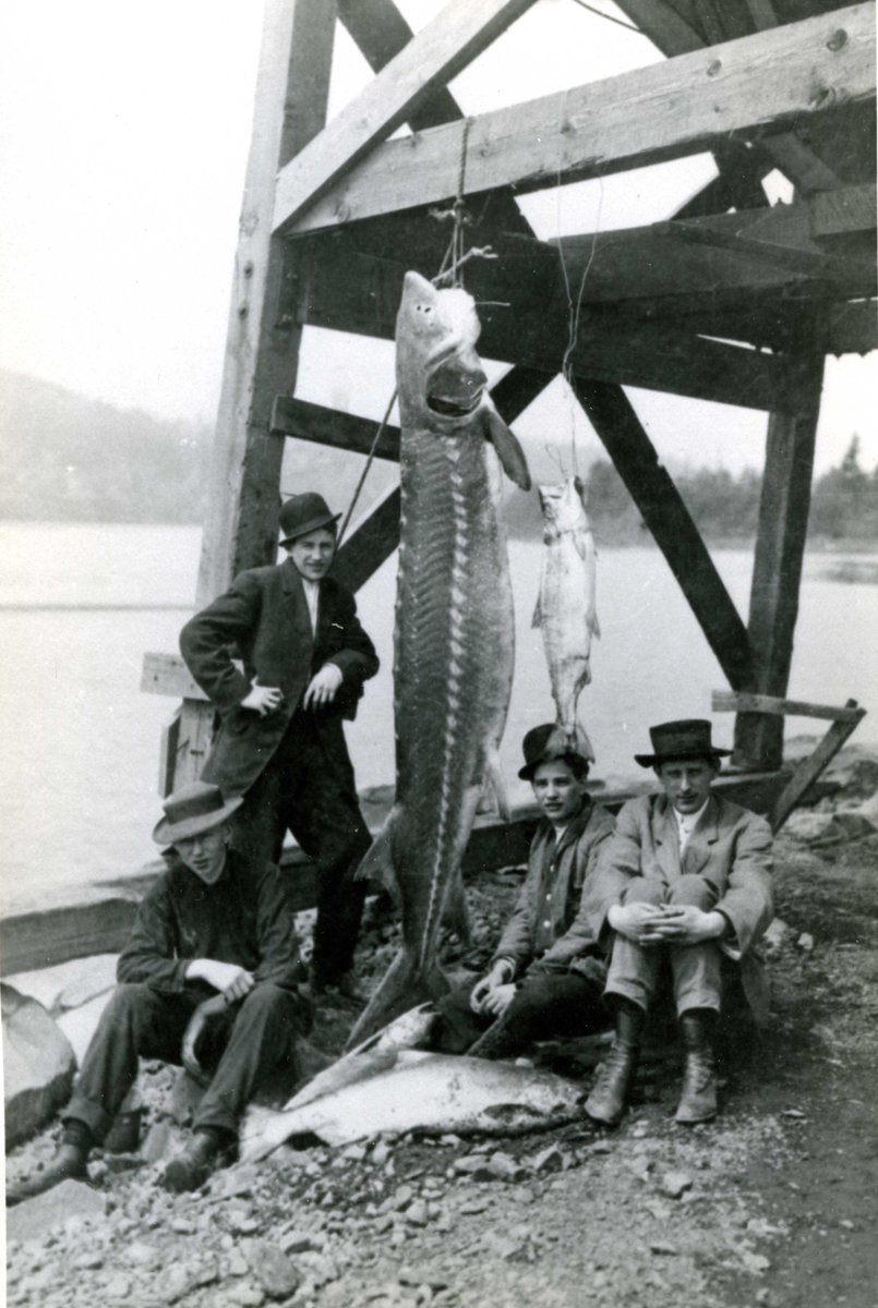 Happy Father's day! We hope your catch is thiiiiiiis big! 🎣 #bigfish #vintagephotos #clackamashistory