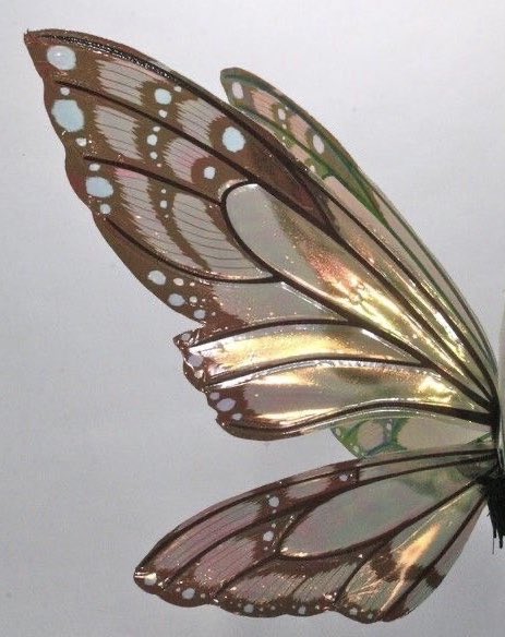 Tori Kelly as fairies thread ˚✧⁎