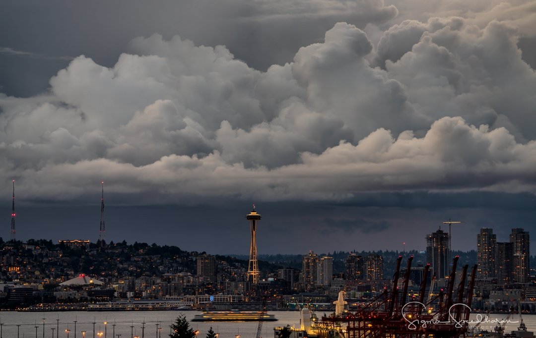 So l saw the President on the first rally in month and l listened closely...I heard him saying that he would take care of the situation in Seattle...and l thought...didn't he say this a fortnight ago...and a few days ago too...yet nothing happened...What about law & order....