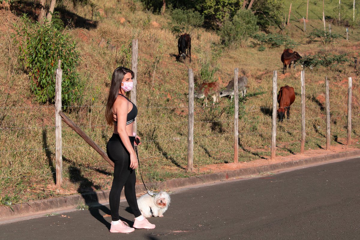 IrissCript's tweet photo. Pequenos bons momentos de rotina boa, vida calma e paz de espírito. .
#bomdia #getup #passeio #dogwalker #pet #dog #saúde #espírito #sabado #manhã #rotina #exercitar #respirar #arpuro #interior #vida #goodvibes #goodmorning #life #photo #photographer #photopet #saúdemental https://t.co/PKzBdE04QT