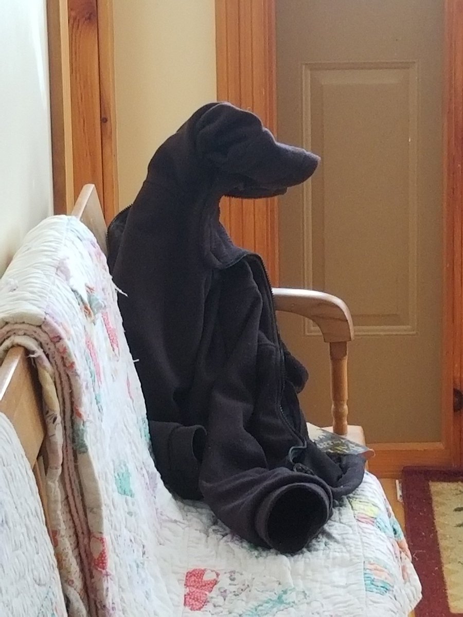 just remembered when my dad threw his jacket on the bench and it somehow landed in the shape of a dog