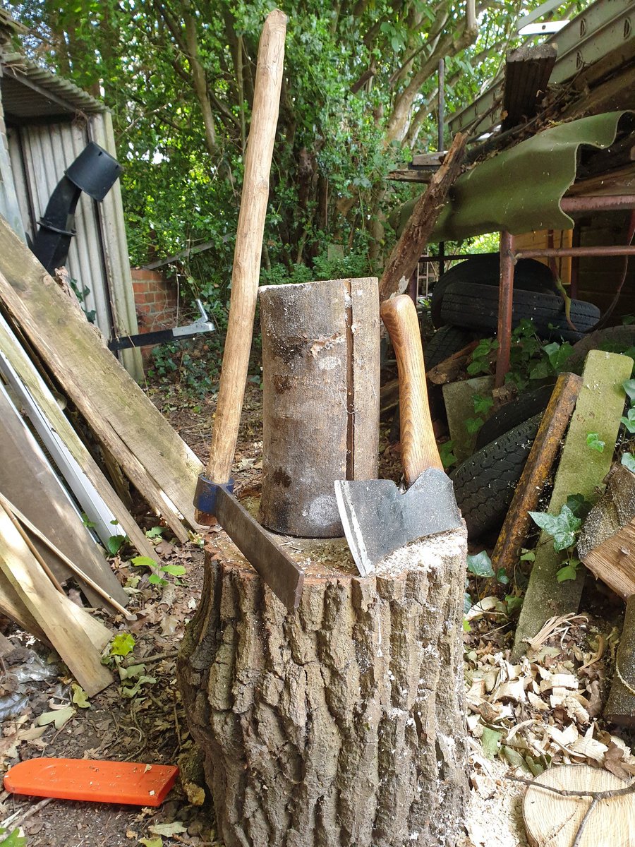 The Blueberries are looming and have to put the big tent up, do I buy pegs or make them the traditional way from sustable Ash, I have a pile of shavings for the Bbq #organicblueberries
