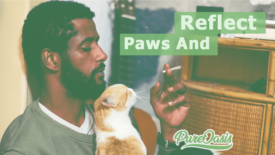 MyPureOasis's tweet photo. To take a break, evaluate your accomplishments, and learn from mistakes. Find your #PureOais. #CannabisCommunity #MondayMotivation https://t.co/bADdelJFpf