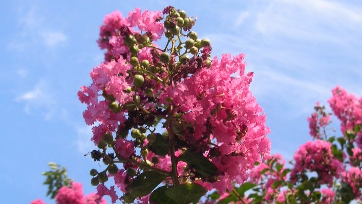 kamisama_kotoba's tweet image. When you are ready, it comes to you.

準備が出来た時、それがあなたの元にやって来ます。
#timing #タイミング