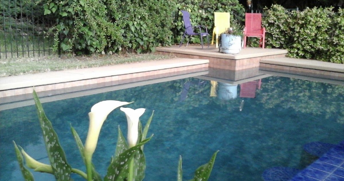 Wellness Woman 40 tweet media