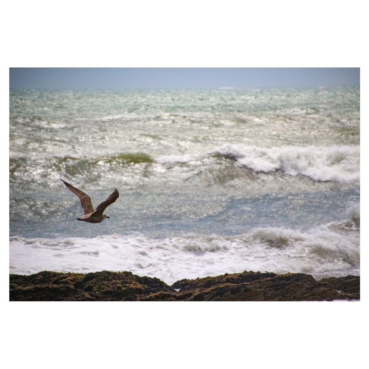 deirdrops's tweet photo. Surf was up at Garretstown beach today.
#WildAtlanticWay #beach #surfsup #Ireland #seascape https://t.co/GkBNartEfS