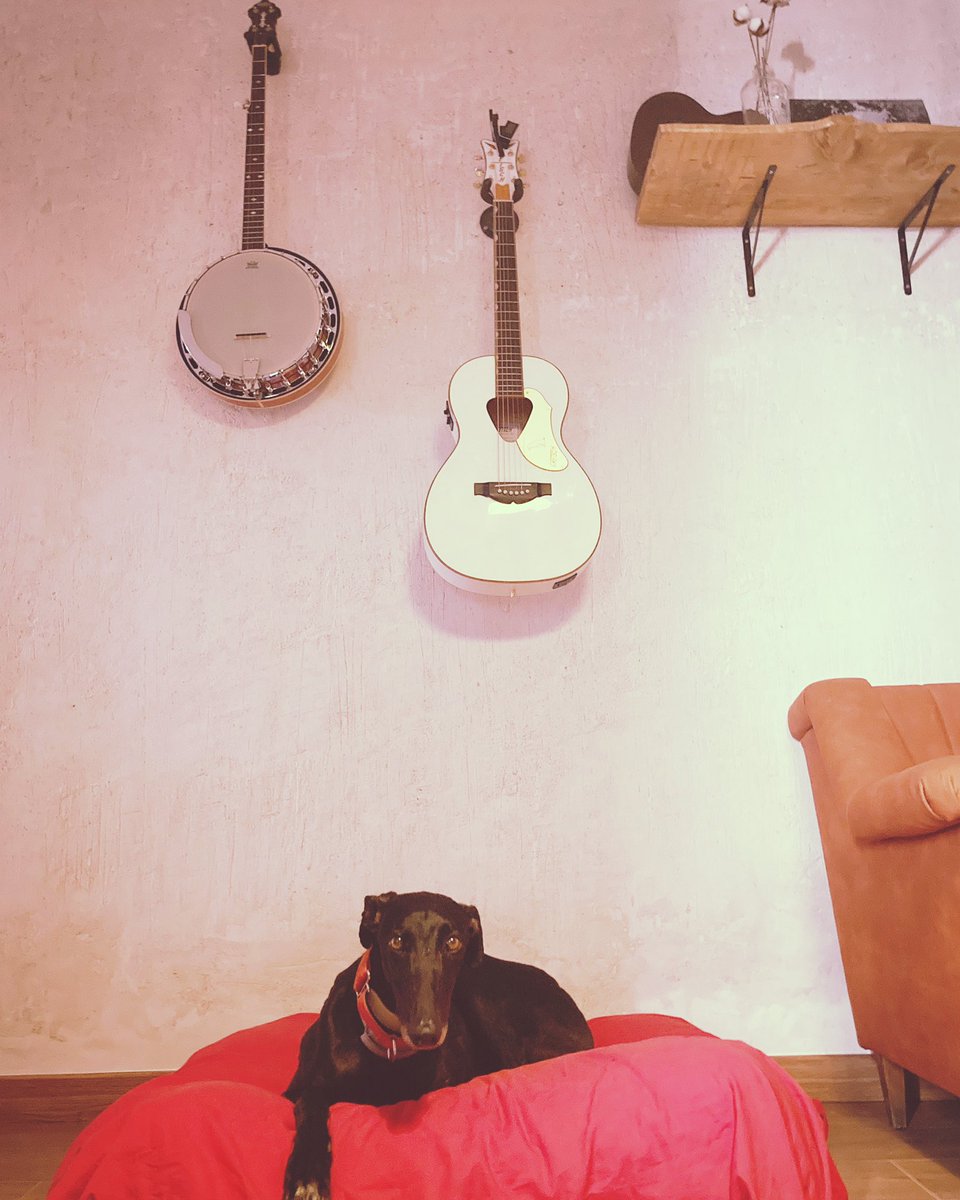 NoviaDiablo's tweet photo. ¡Por fin tenemos manager! La cosa se pone seria 😎 #Django https://t.co/pfsC3QreVx