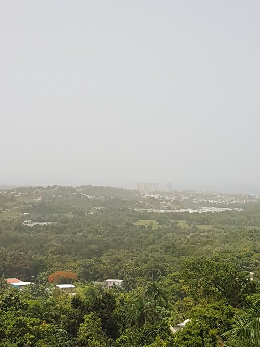BirdingPRcom's tweet photo. Saharita entrando, apenas se ven los condominios de Luquillo. @Alergiahongos @DeborahTiempo @SusanSoltero @DeptSaludPR @adamonzon @crparedon https://t.co/8GXuft14pk