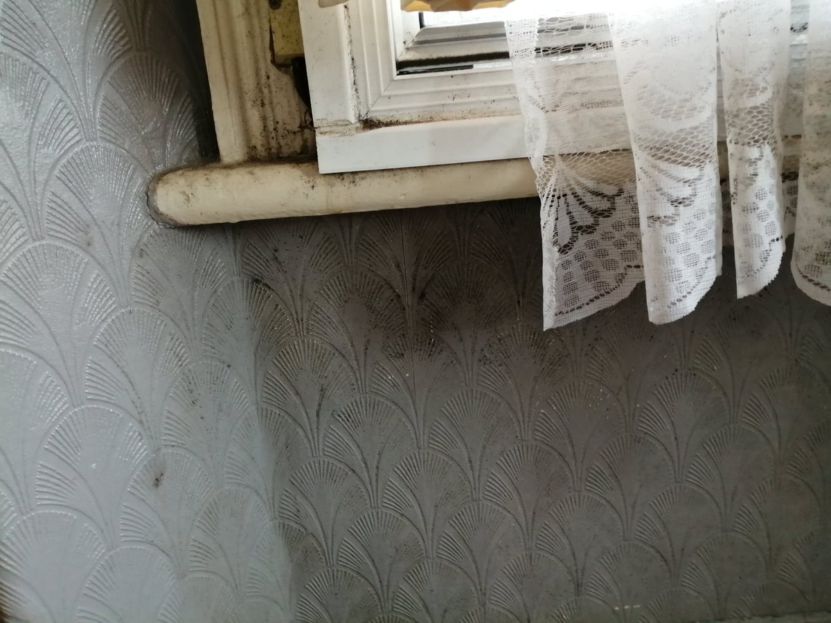 ElvetConsult's tweet photo. We were appointed by a housing association to investigate a defect relating to a Housing Disrepair Case. Our surveyor discovered the tenant had fitted secondary glazing to the insides of sliding sash bay window, which limited air flow and contributed to condensation. #surveying https://t.co/CSVavvfBnL