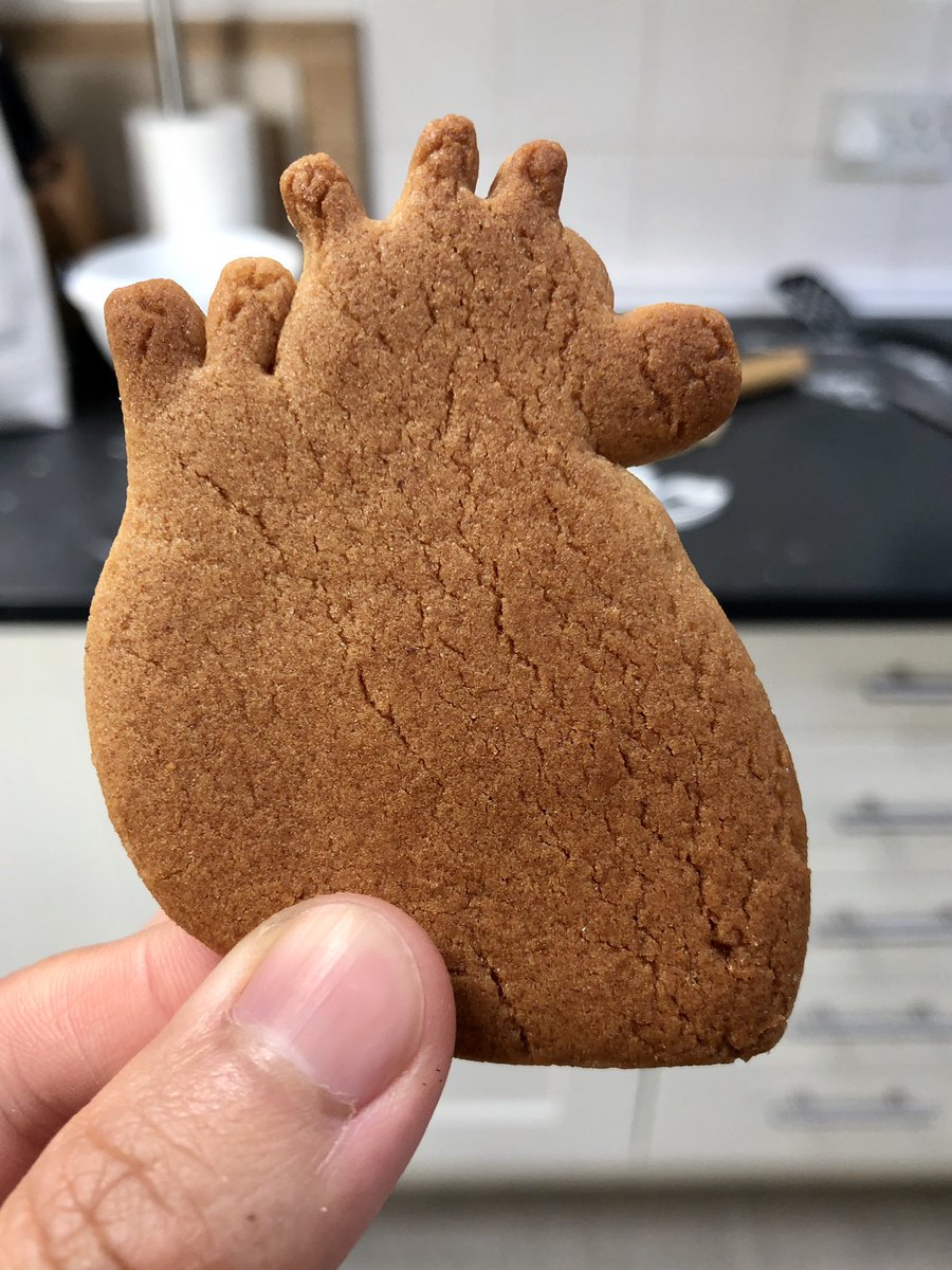DrMHuang's tweet photo. In a way, baking is benchwork? #workingfromhome #phdchat #cardiotwitter https://t.co/EkKwh2sZBr