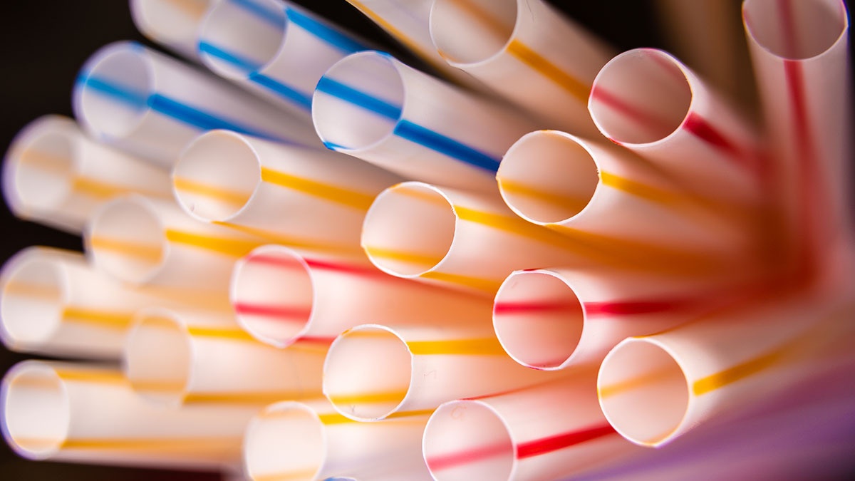 WWT Caerlaverock tweet media