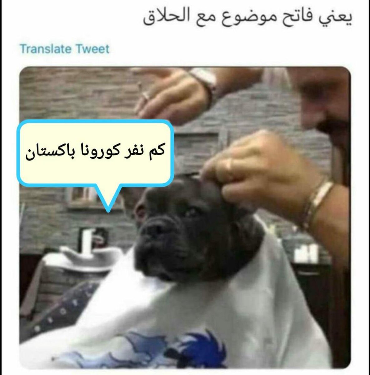 lutfi  alzayer (@lutfihz) on Twitter photo 