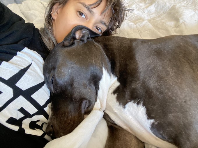 opal loves to smoosh her face against my chest https://t.co/PpZTVEcrnY