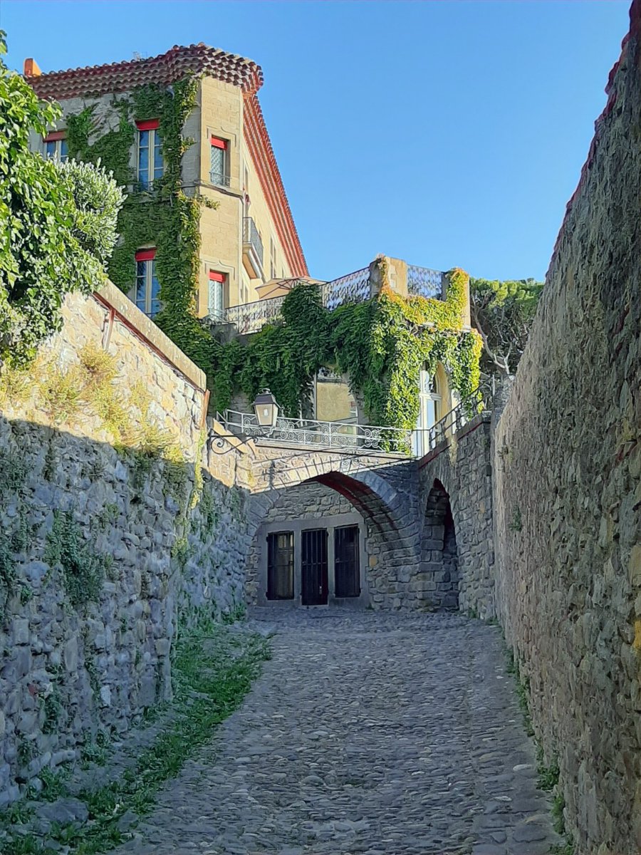Rue du four Saint-Nazaire 
Cité de #Carcassonne 
📸 <a href="/dansle11/">𝔻𝕒𝕟𝕤𝕝𝕖𝟙𝟙</a>