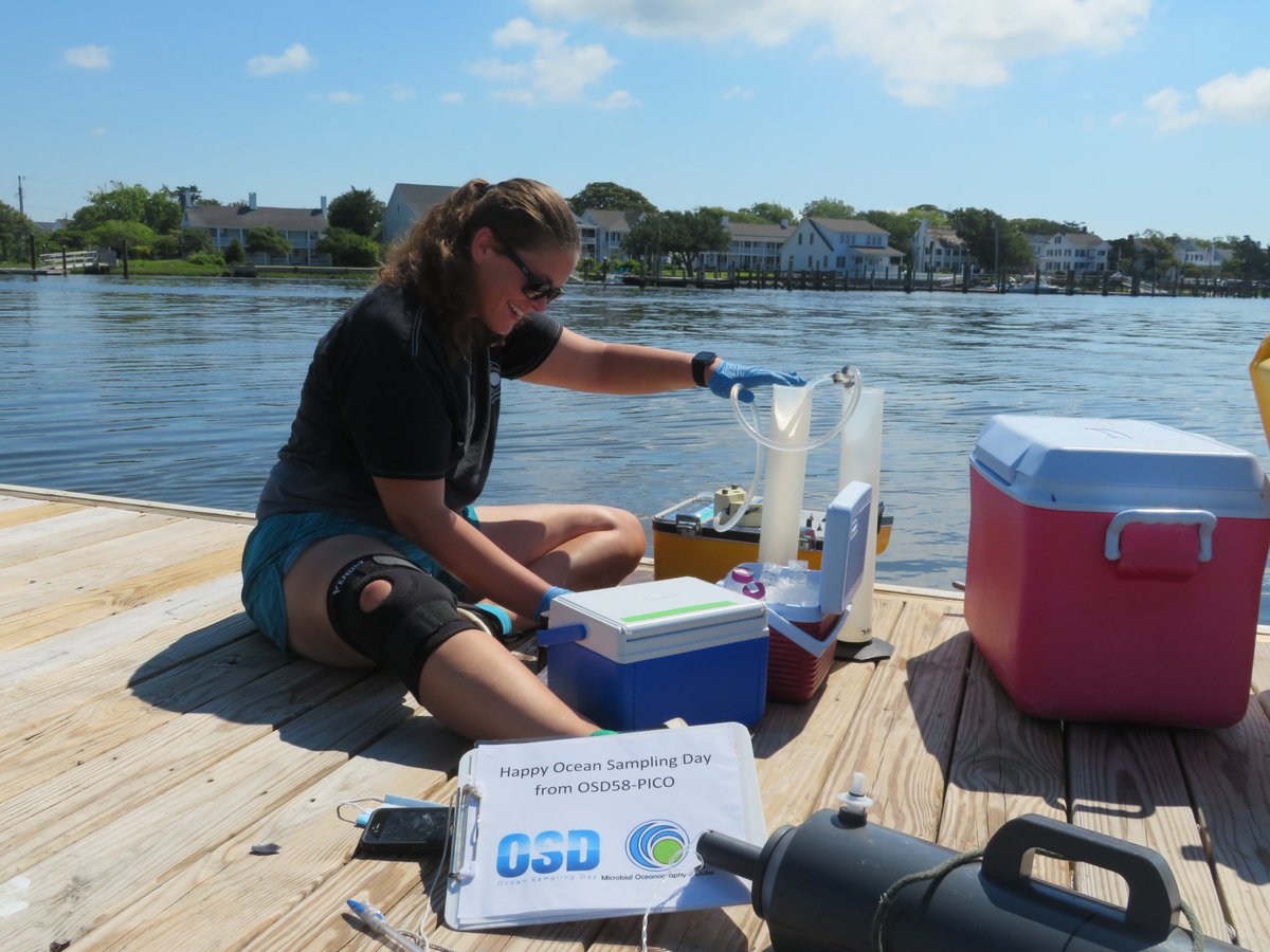 Happy #oceansamplingday2020 from OSD site 58 (the Duke Marine Lab)