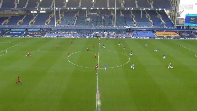 Embedded video