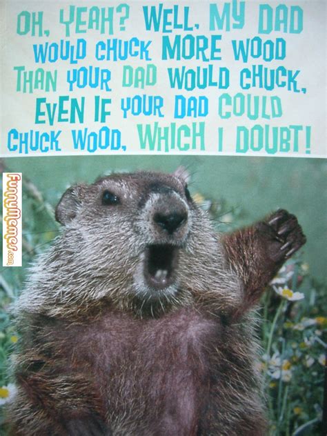 SquirrelonTO's tweet image. 