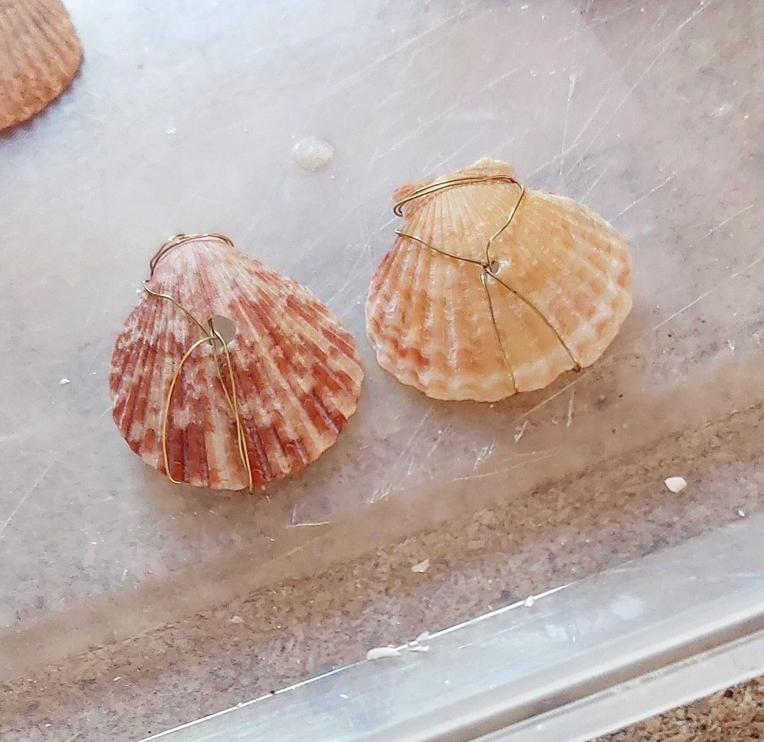 connie_malim's tweet photo. Good evening #UKCraftersHour I've had a successful day - started on my new collection. Got lots of ideas flowing. Here's a sneak peak of what's to come. #wirework #metallic  #scallopshell #seashell https://t.co/OZBm4zxohZ