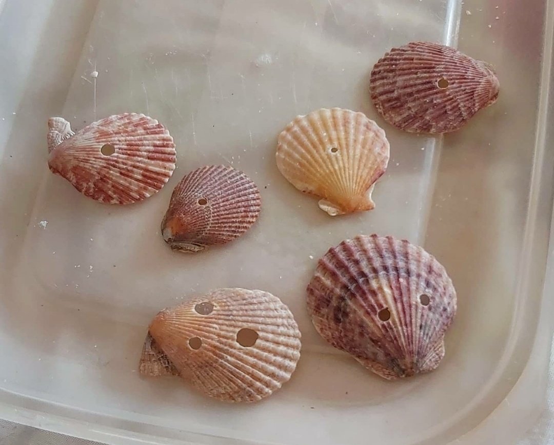 connie_malim's tweet photo. Good evening #UKCraftersHour I've had a successful day - started on my new collection. Got lots of ideas flowing. Here's a sneak peak of what's to come. #wirework #metallic  #scallopshell #seashell https://t.co/OZBm4zxohZ