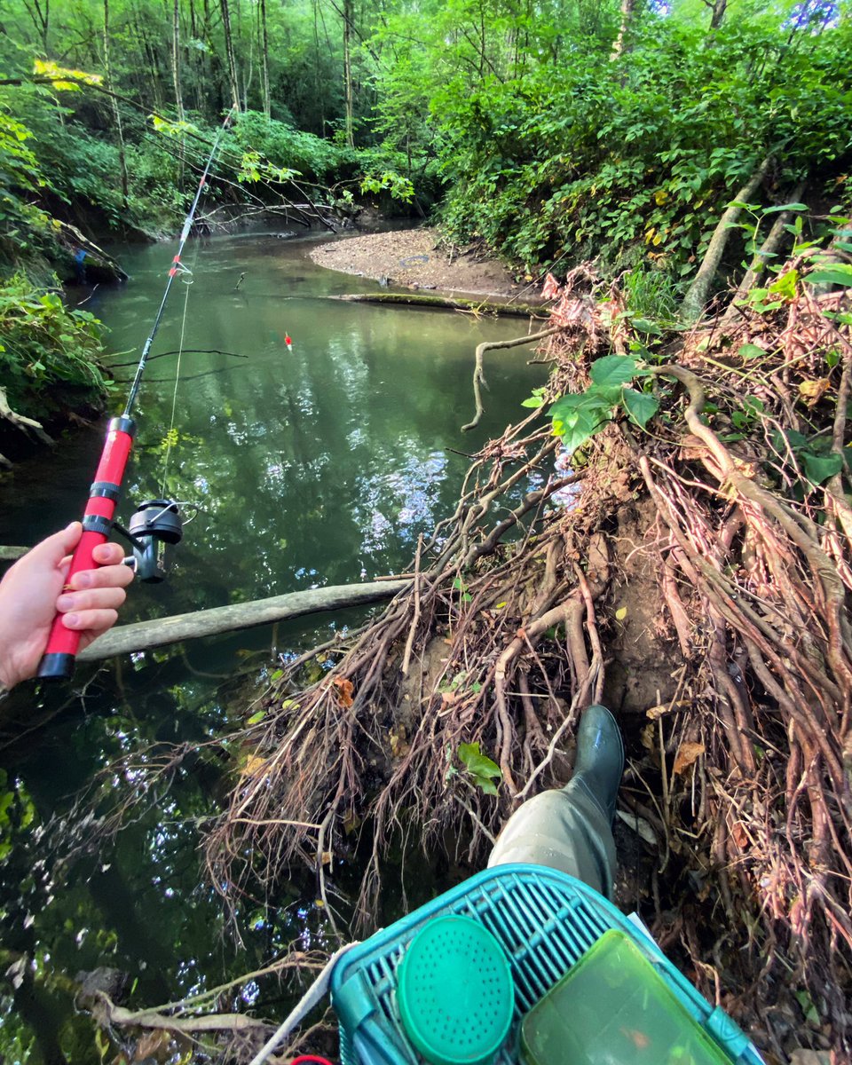 tialzar's tweet photo. This is life 🏞🎣 #beautiful #river #fishing #fish #nature #tialzar #mood #amazing #paysbasque #landscape #love https://t.co/owoiK3Nn4q