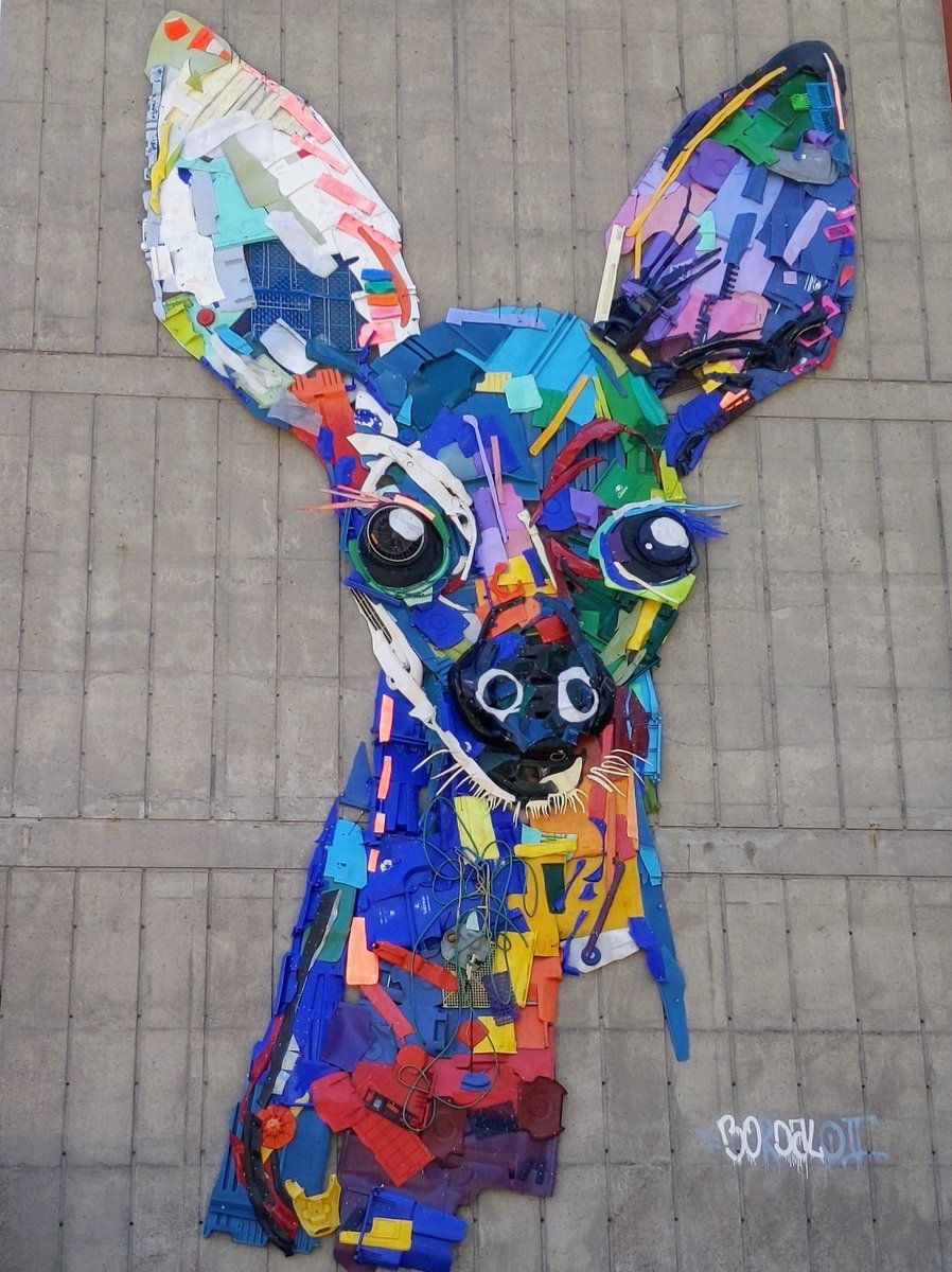 Centennial Grade 3 tweet media