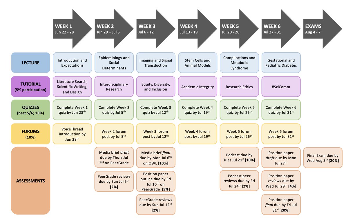 drsoup09's tweet image. Playing around with course roadmaps so that students have a visual of the semester. Summer course starts tomorrow and goes for 6 weeks! Wish me luck, enrolment is at an all time high.