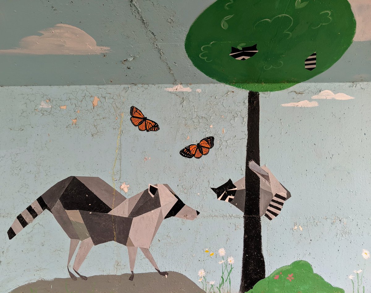 Centennial Grade 3 tweet media