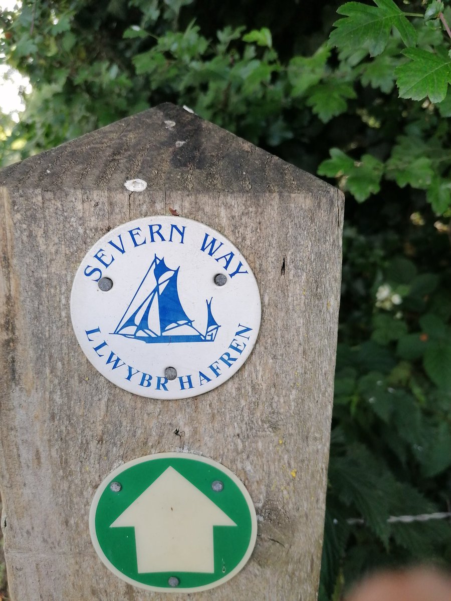 DTPrice91's tweet image. Well!!
Hurricane Challenge completed today with a family walk for fathers day. Its been really good, getting us all out and keeping us going during lock down. @RAFMUSEUM #Hurricane80kChallenge