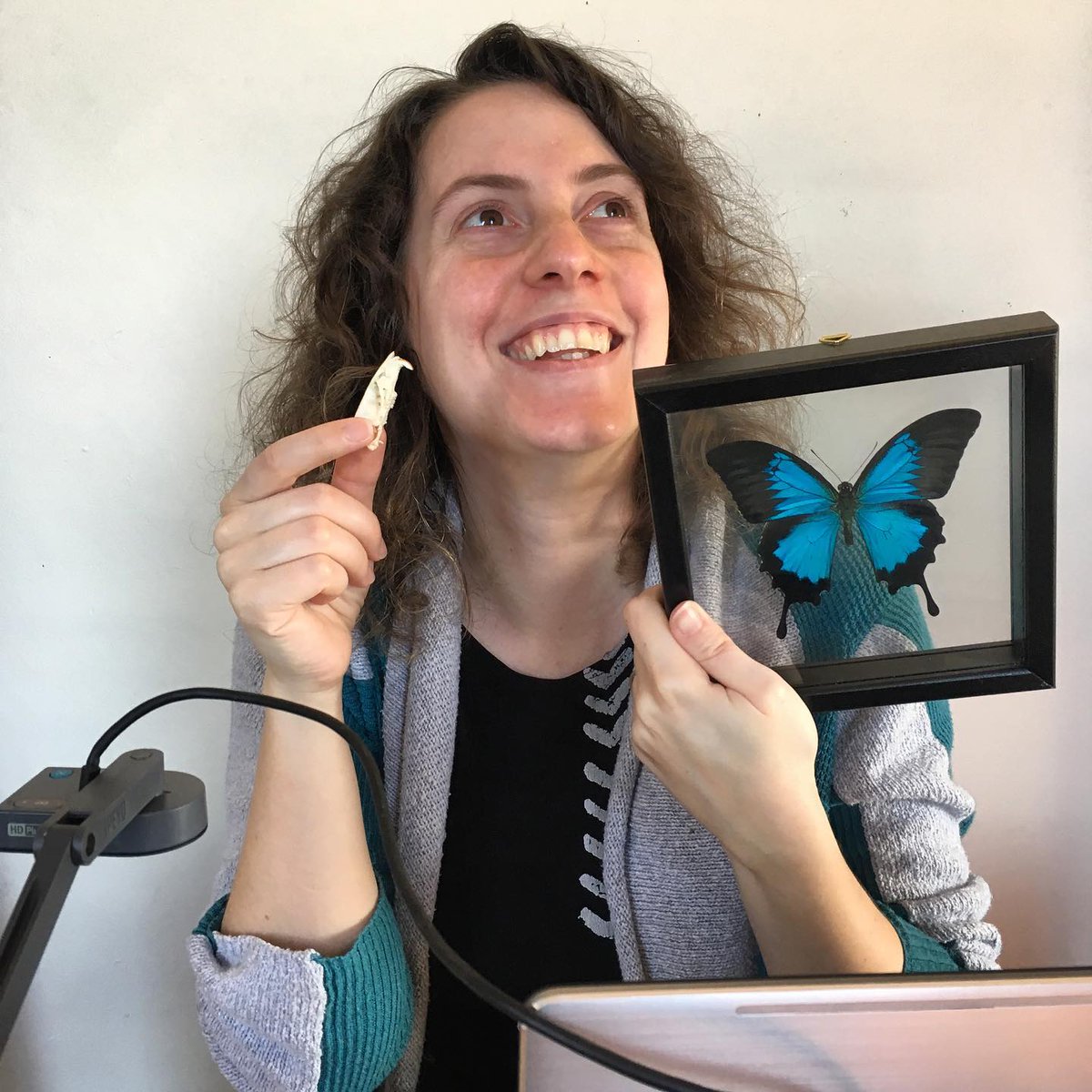 RightBrainNews's tweet photo. Check out all the activities for kids on our free playlist of arts experiences! Join Young Audiences teaching artist Jess Graff in an observational drawing lesson with a focus on butterflies and day flying moths. https://t.co/UKc7mkPpvU https://t.co/uSukcGfh15