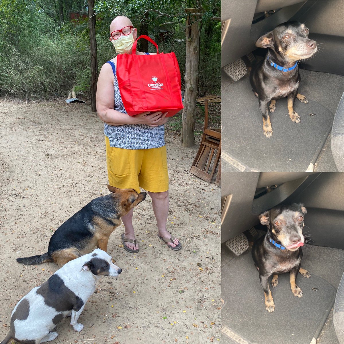 Today’s <a href="/CareBOXProgram/">CareBOXProgram</a> adventure took me to rural Elgin where I got to meet Julie and her adorable pups - Poncho even tried to come home with me 🤗 Sadly, Julie’s 300 pound pig was too hot to come say hi. Maybe next time!