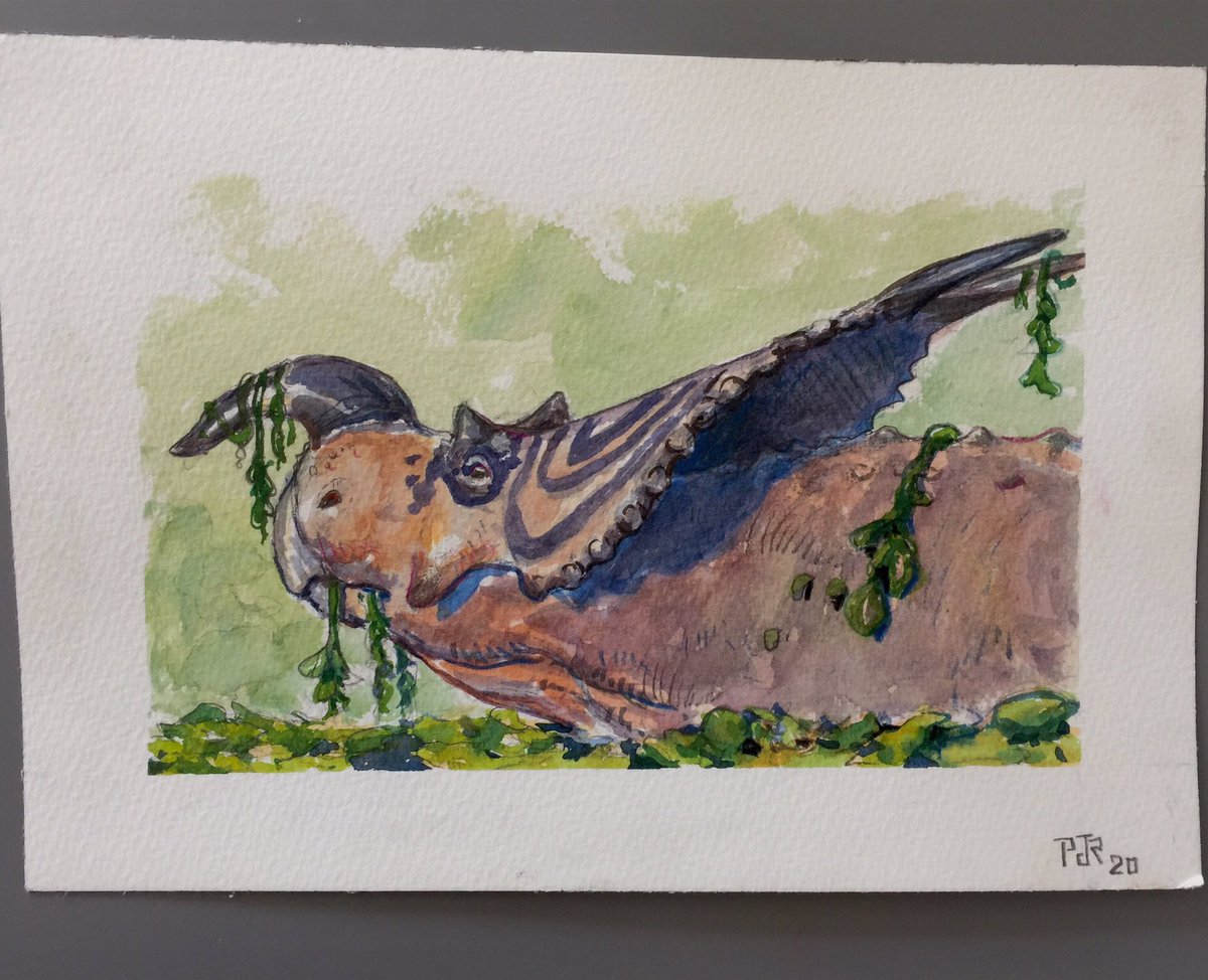 The auction for this painting is now live on my Instagram! The idea is to have the winning amount donated to one or several organizations I provided. If you’d like to participate, I’ll share a link in the comments below!