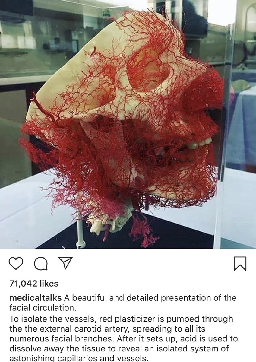 So cool!