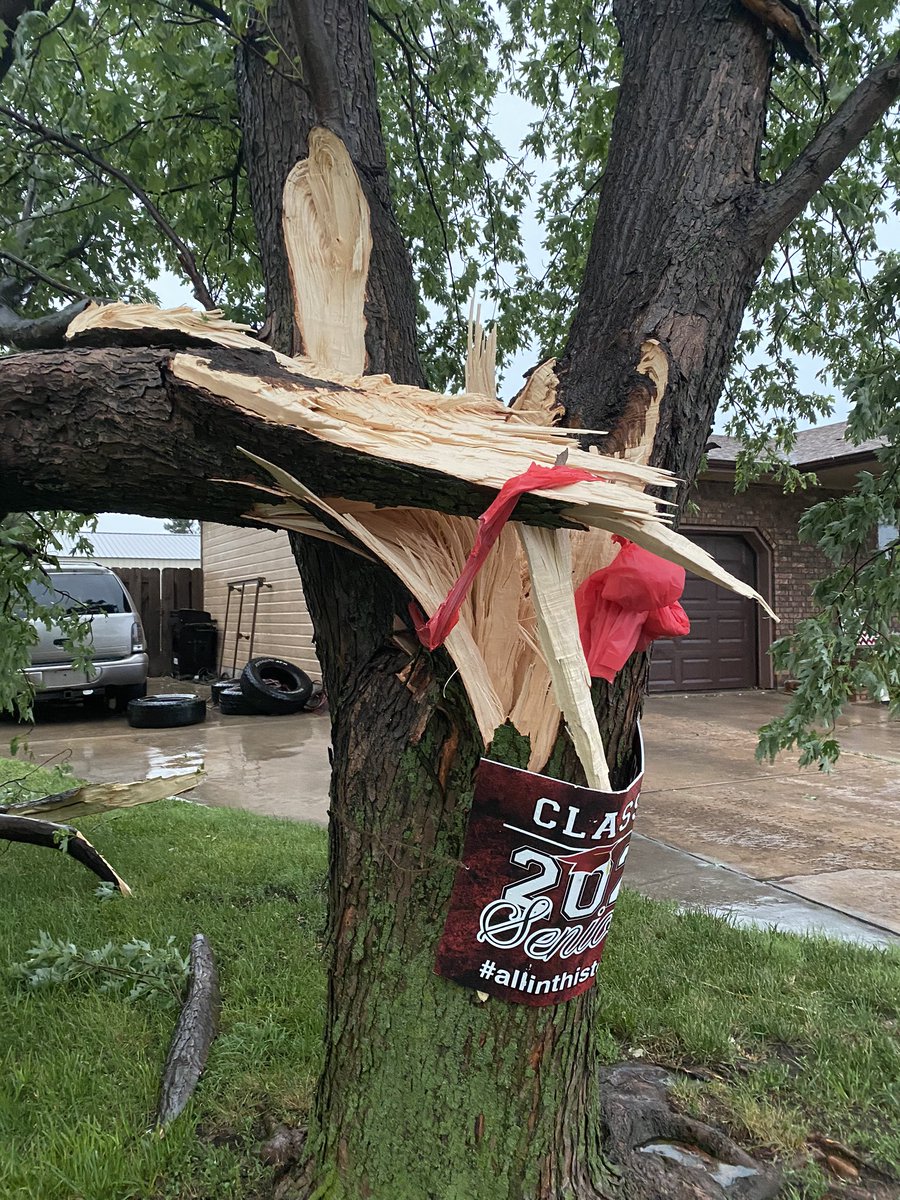 csandy4's tweet photo. I have no idea how I feel about this. 😩 #june21 #treedown https://t.co/bS8DiaSv4O