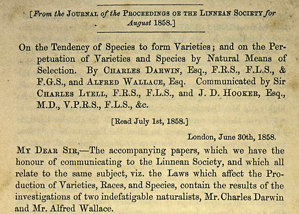 On July 1, 1858 when the Linnean Society in London heard the sensational 1st announcement of Darwin's (& Wallace's) theory of natural selection- an idea that changed biology forever- Darwin wasn't in attendance. He was at the funeral of little Charles Waring, who died June 28./17