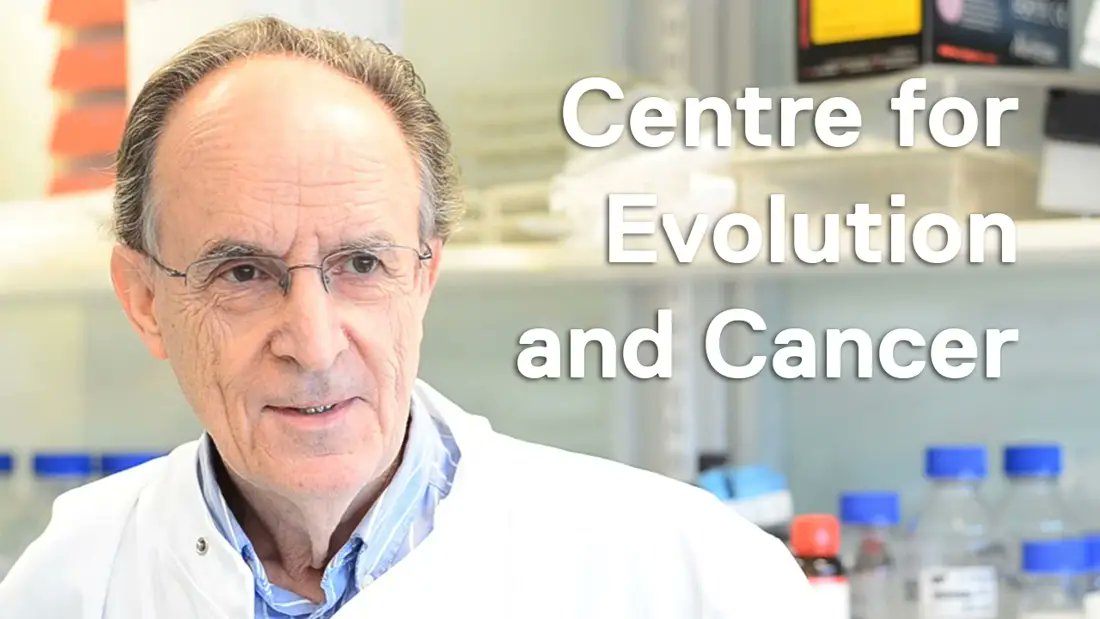 Sir Mel Greaves and others interested in the evolving (sorry) field of evolutionary or “Darwinian” medicine argue convincingly that many diseases, especially cancer, may be best understood within an evolutionary framework. /18