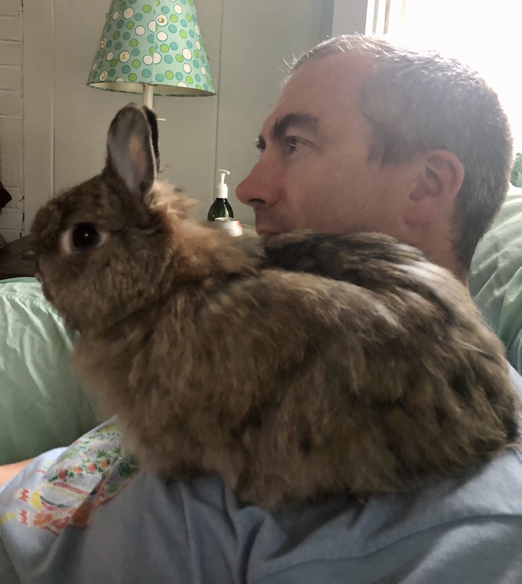 Matt Tavares tweet media