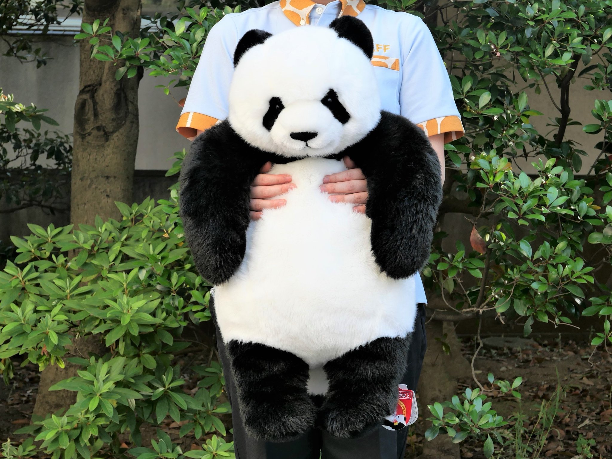 上野動物園［公式］ على X: 
