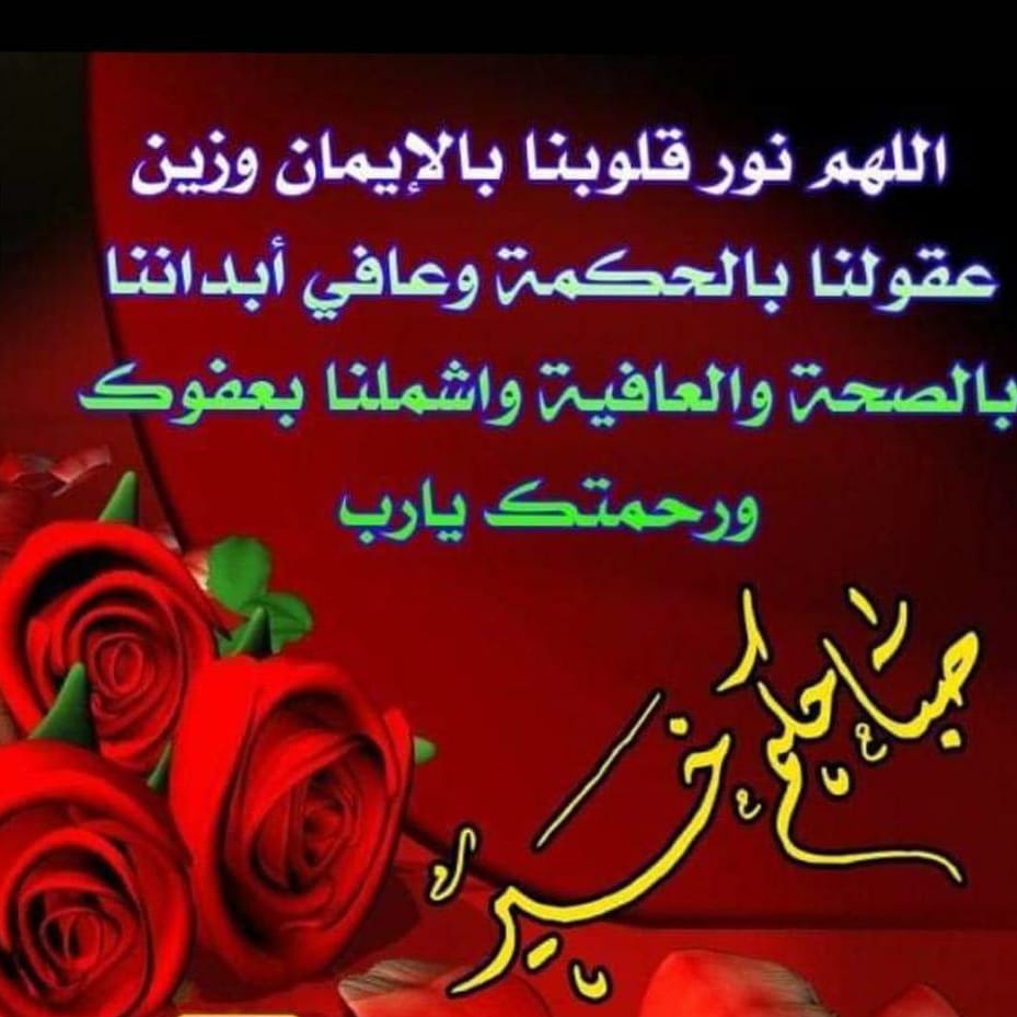 ساره (@sarasaman8) on Twitter photo 