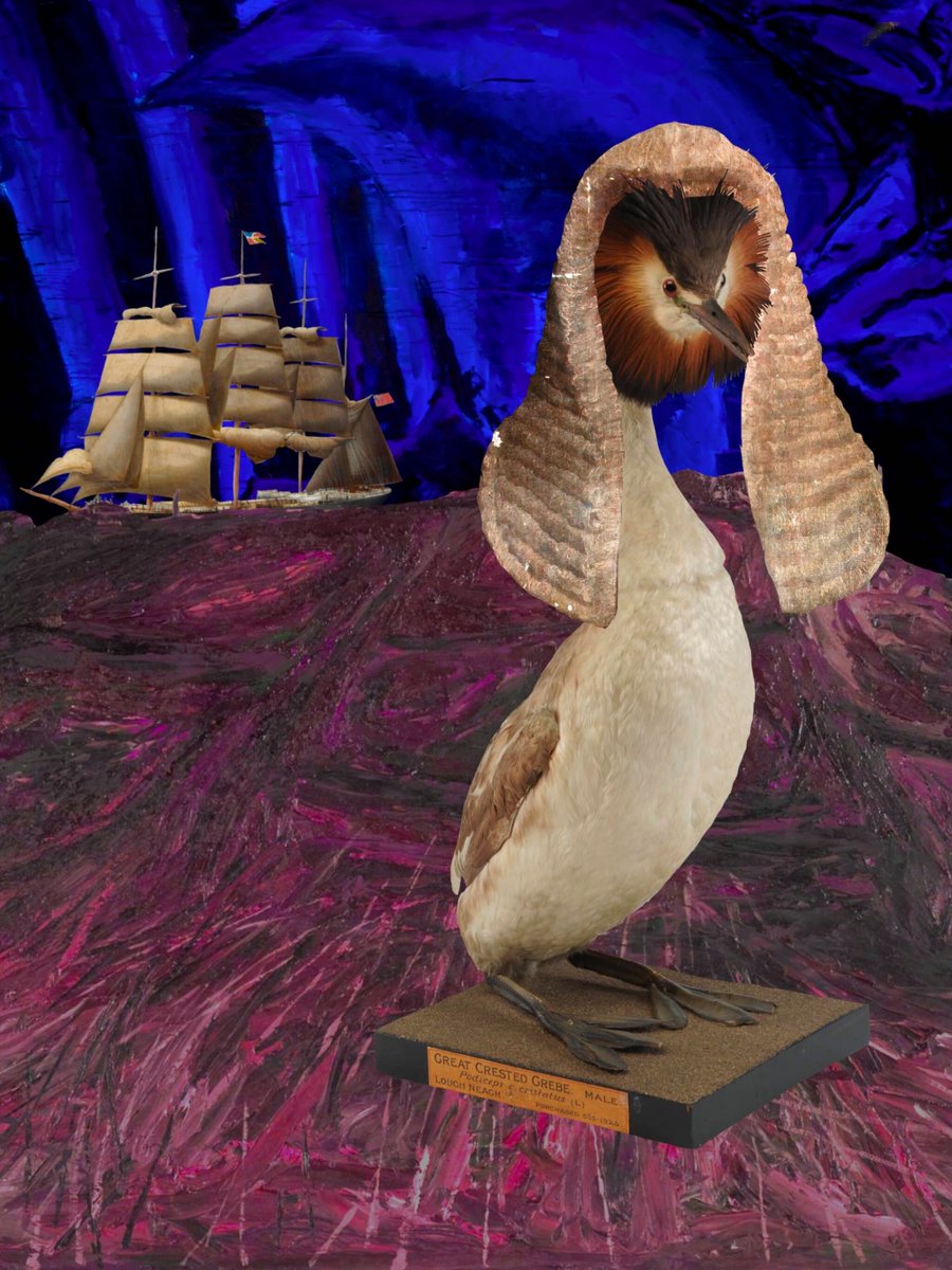 A strange dystopian bird ruled future was imagined by Isabella. 