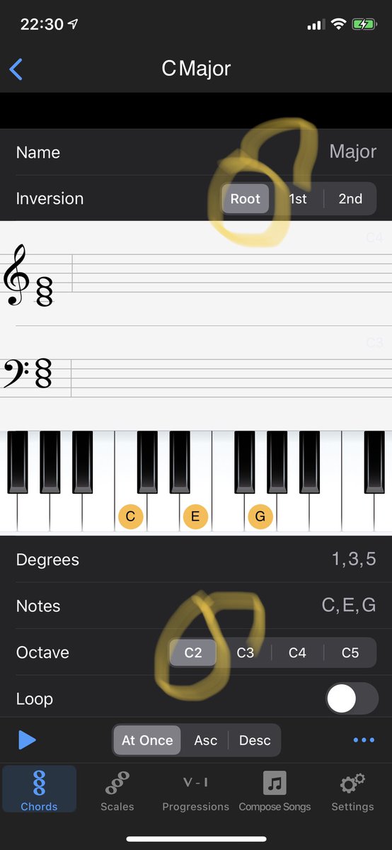 johnmr's tweet photo. @SincereApps The latest iOS version closes the app when you try and change inversions or octaves as per attached https://t.co/FbKDAwKbwV